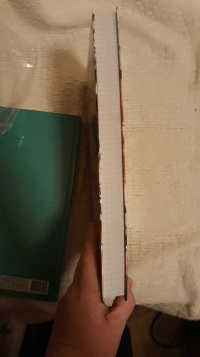 piękny brulion Interdruk Botanique w róże, A4 288 kartek nowy