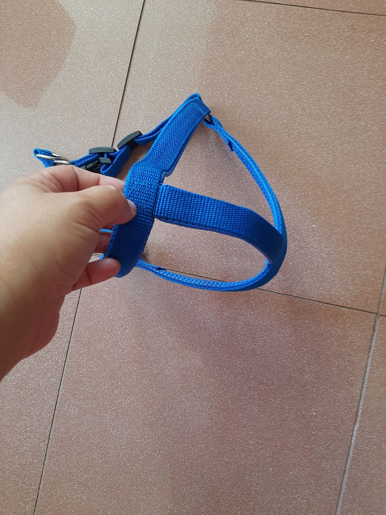 Peitoral Azul Cão Porte Médio