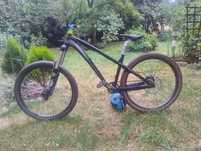 Dartmoor Hornet 2021