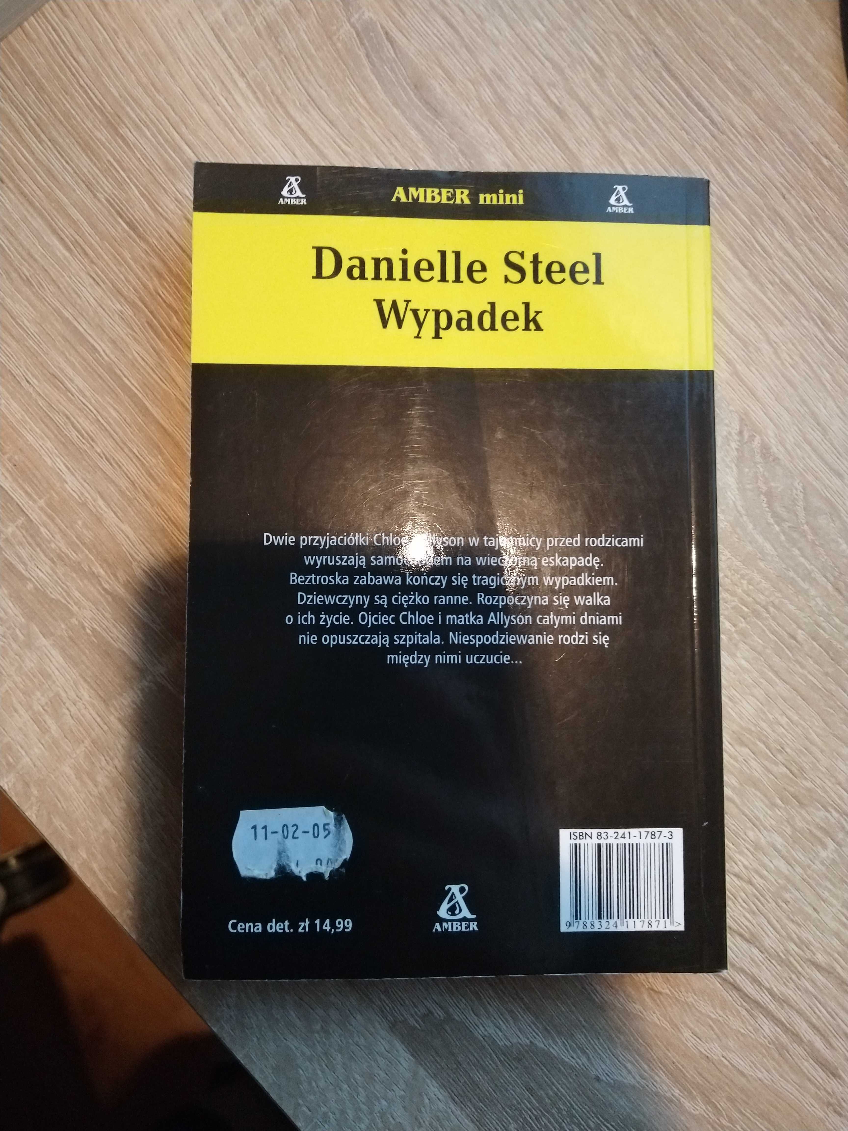Danielle Steel - Wypadek