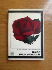 Róże pod szkłem Karol Wizner