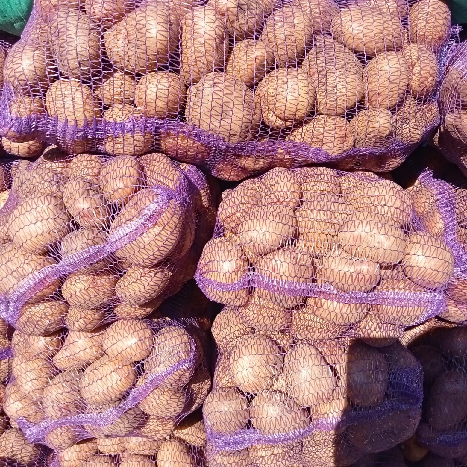 Продам картоплю самовизначення