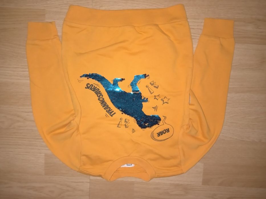 Pomarańczowa bluza z dinozaurem Sinsay 128