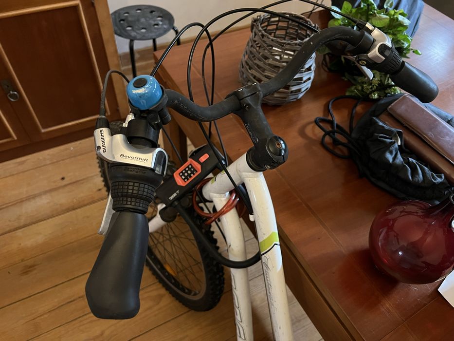 Bicicleta Berg Montanha e cidade