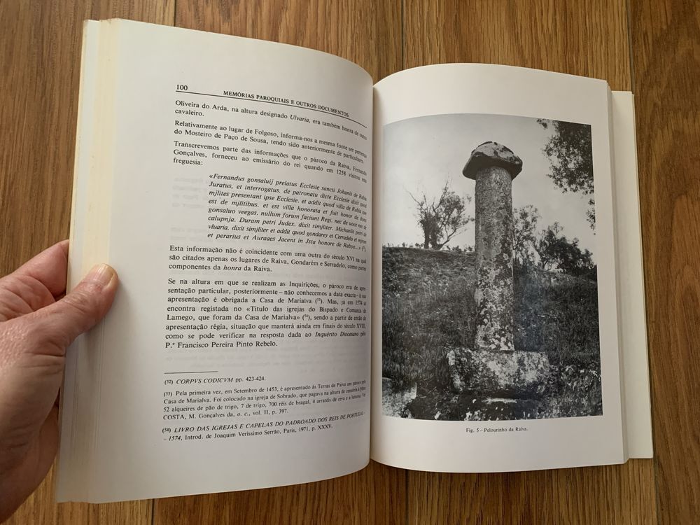 Memórias Paroquiais de Castelo de Paiva e outros Documentos