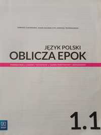 Język polski oblicza epok 1.1