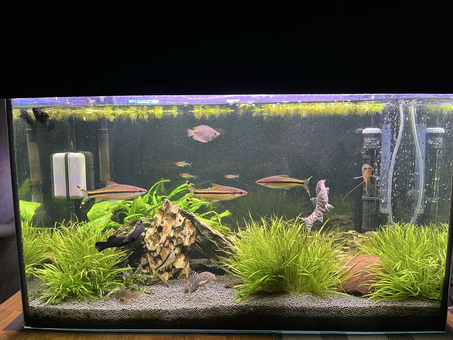 Продам свой аквариум на 80л 
Комплект