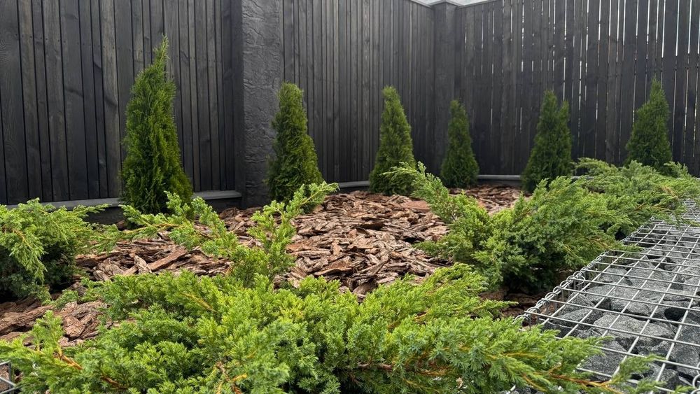 Еко-дім A-FRAME в Бучі - авторський проект з дизайнерським ремонтом!