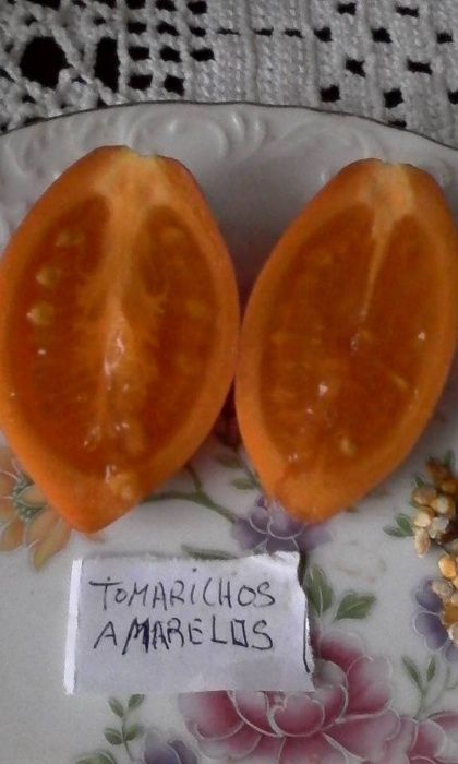 Plantas de Tamarilho Amarelos super doces .