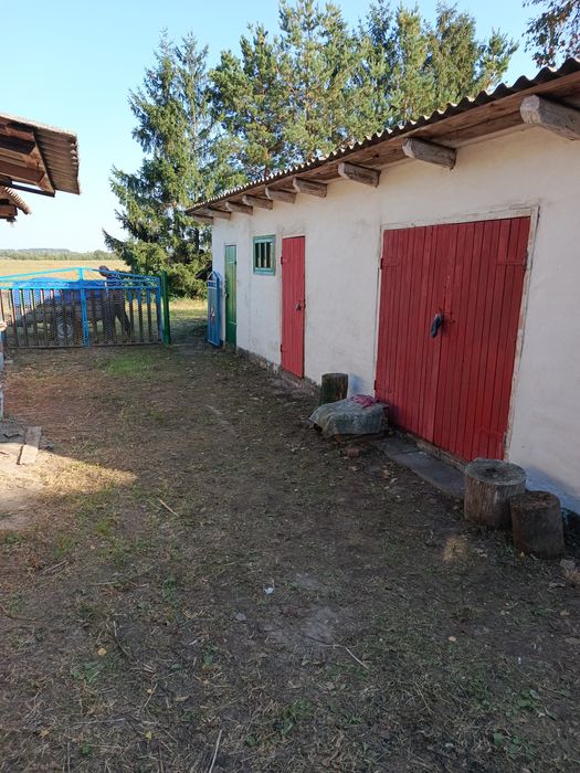 Продам будинок в селі Городище,6 км.від Чуднова.