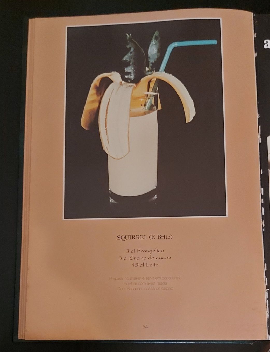 Guia dos Barmen IV