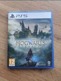 Hogwarts Legacy Ps5