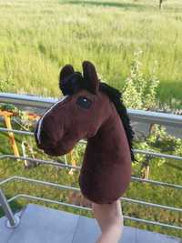 Hobby horse gniady a3