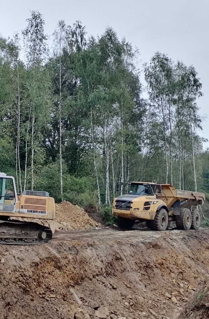 Koparka, usługi koparką, maszyny, roboty ziemne,kopanie stawów