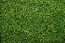 algen-gran granulat ze spiruliną 1,2-1,5 mm 50 g