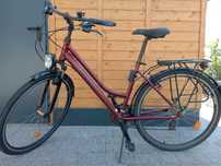 Rower Kross Trans 1.0 damski