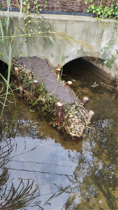 Faszynowanie zabespieczanie brzegów faszyną kopanie stawów i żek