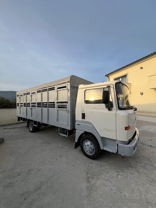 Nissan ecot transporte de animais vivos carrinha gado