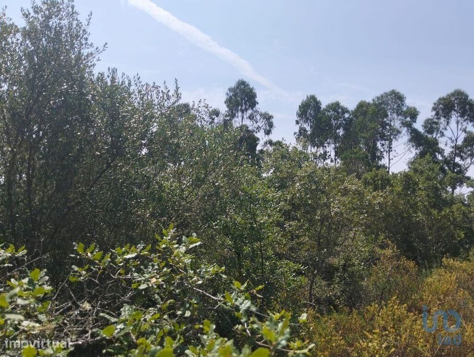 Terreno em Chãos de 1760,00 m2