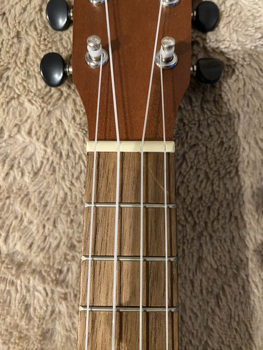 Ukulele concerto com saco + jogo de cordas