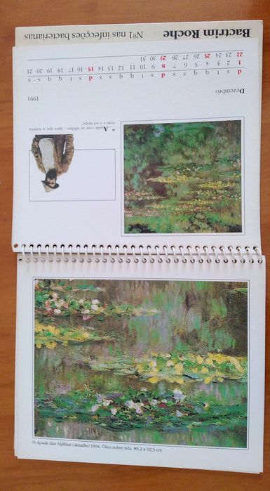 Calendário com 12 Pinturas - Arte de CLAUDE MONET
