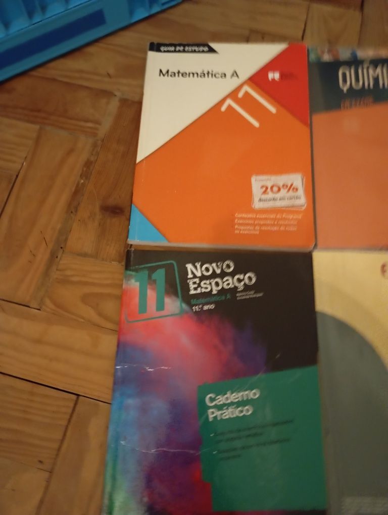 Cadernos de atividades 11°ano
