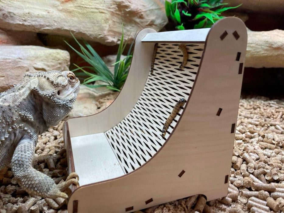 Karmidło karmidełko dla jaszczurka gekon agama żywy pokarm