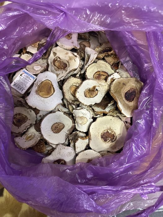 Шапка білого гриба