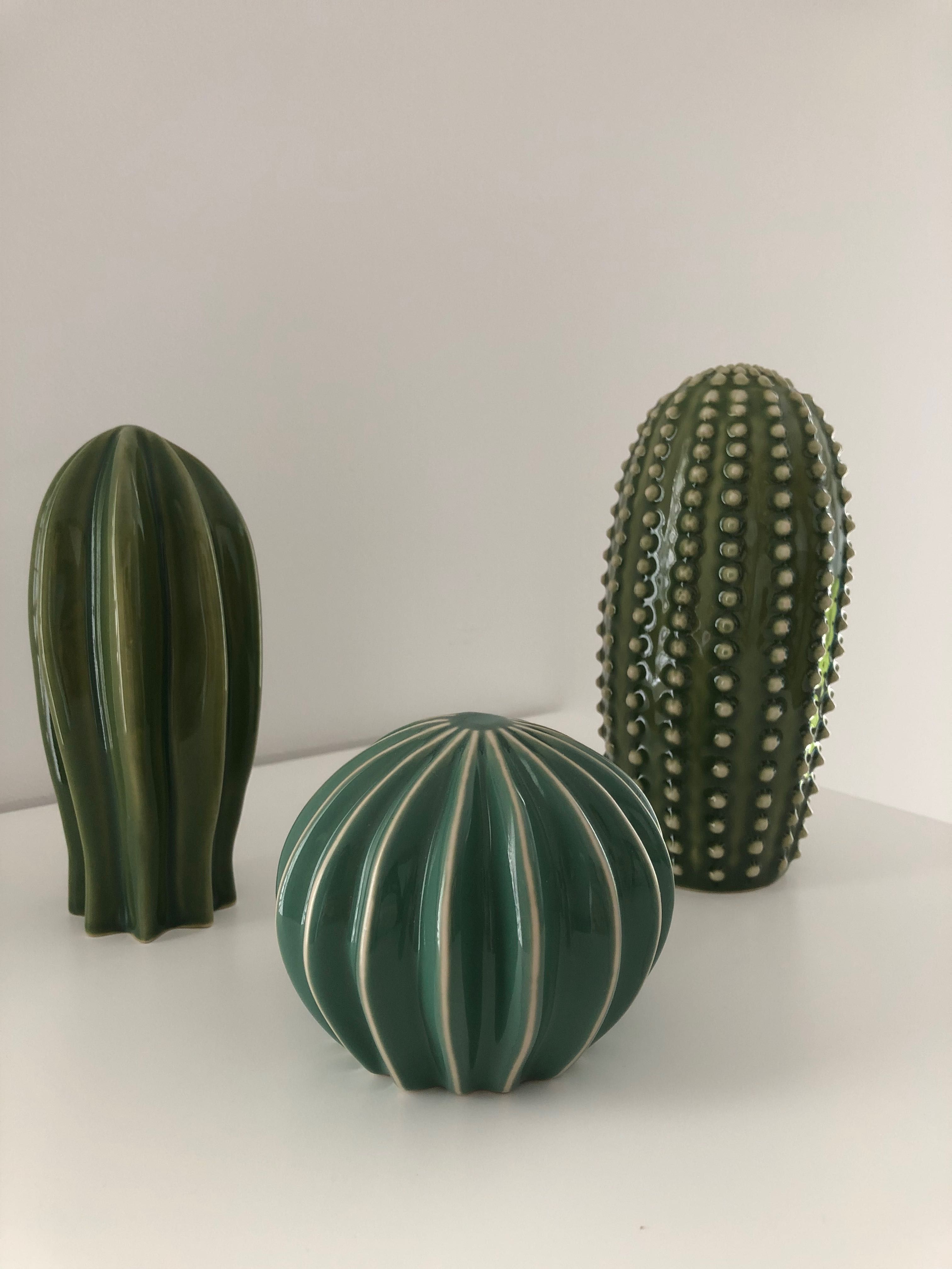 Kaktusy dekoracyjne zielone