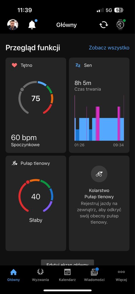 Garmin Fenix 5 Plus Saphire