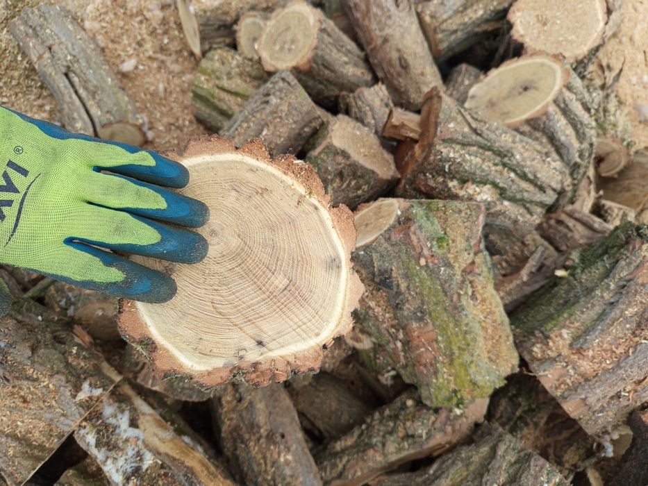 Drewno opałowe i kominkowe