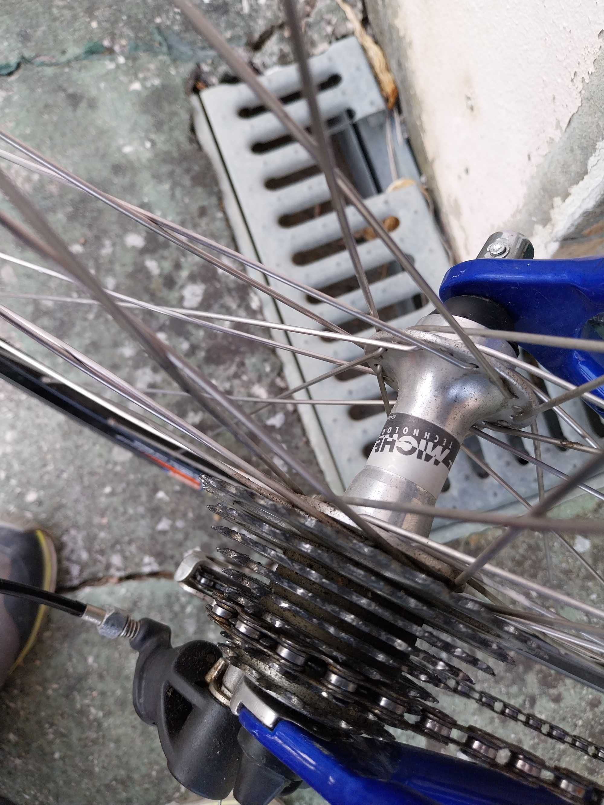 Bicicleta Italiana Vince Campagnolo