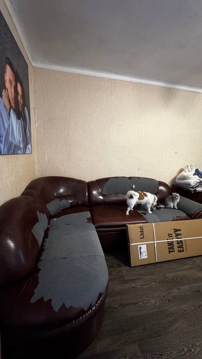 Безкоштовно Диван самовивіз Ірпінь