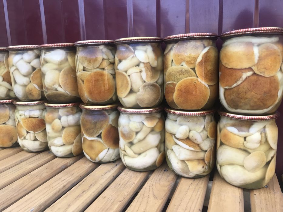 Мариновані, сухі білі гриби, маринованные, сушеные белые грибы