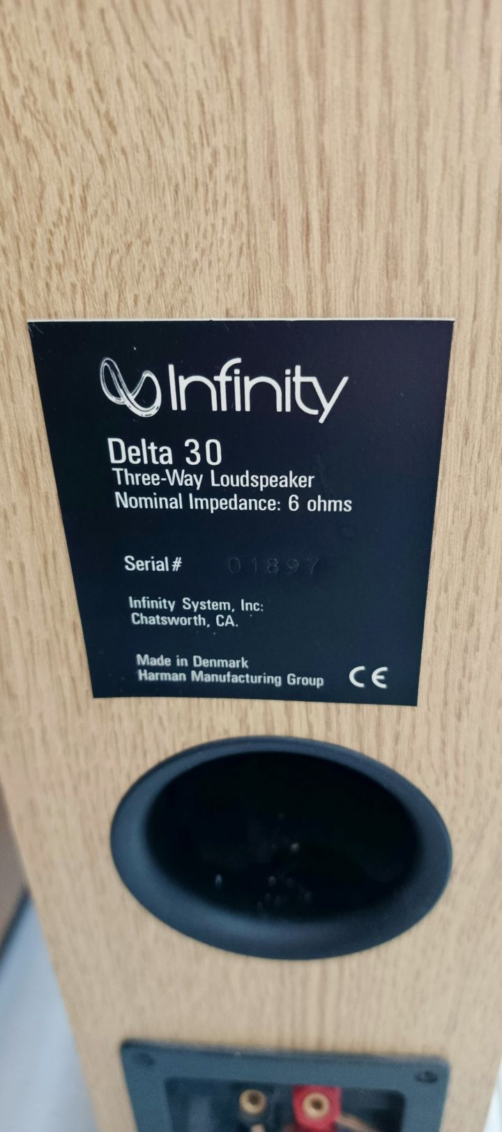 Kolumny Infinity delta 30 uszkodzone