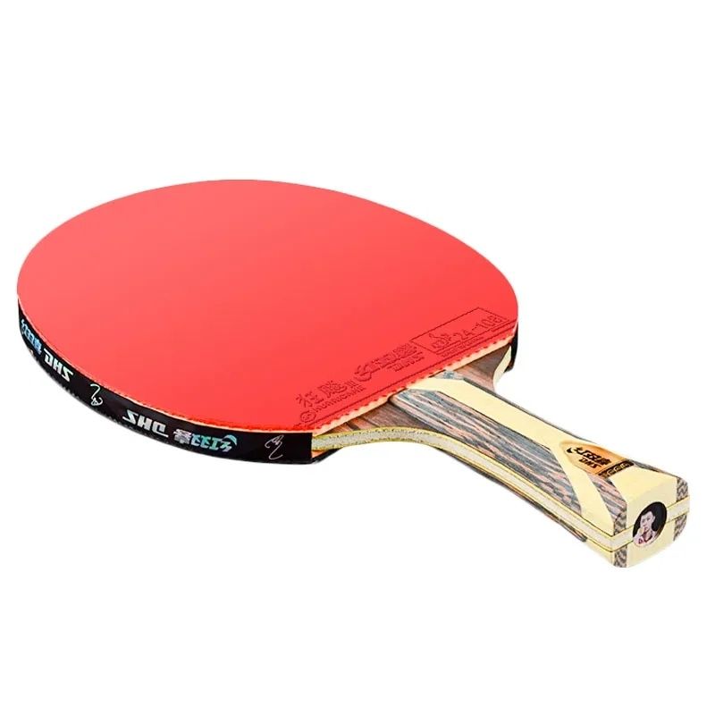 Професійна ракетка для настільного тенісу DHS H9002