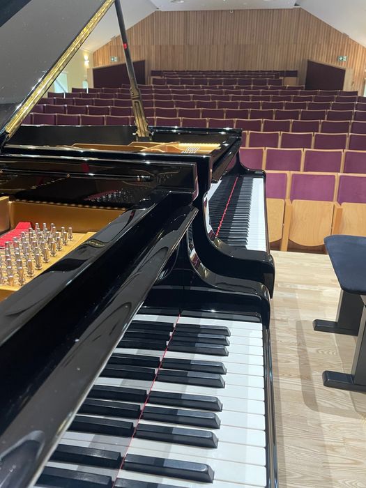 Profesjonalny transport pianin i fortepianów