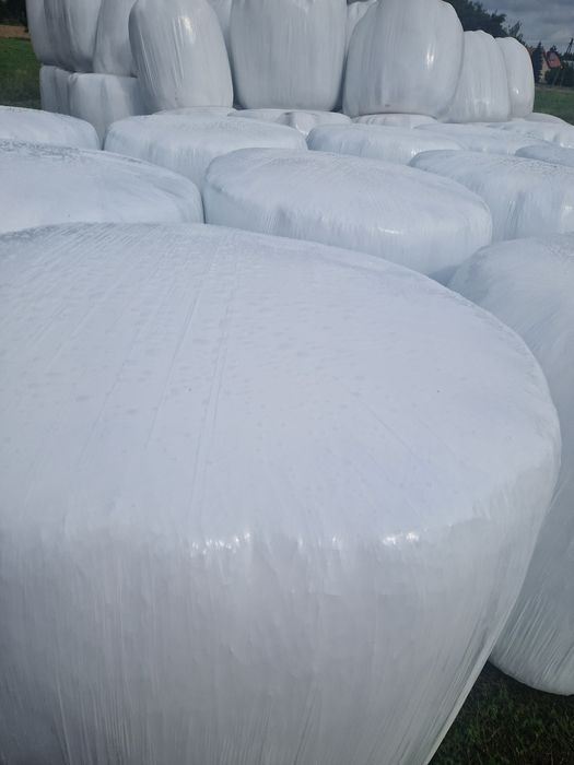 Sprzedam lub zamienię  kiszonkę