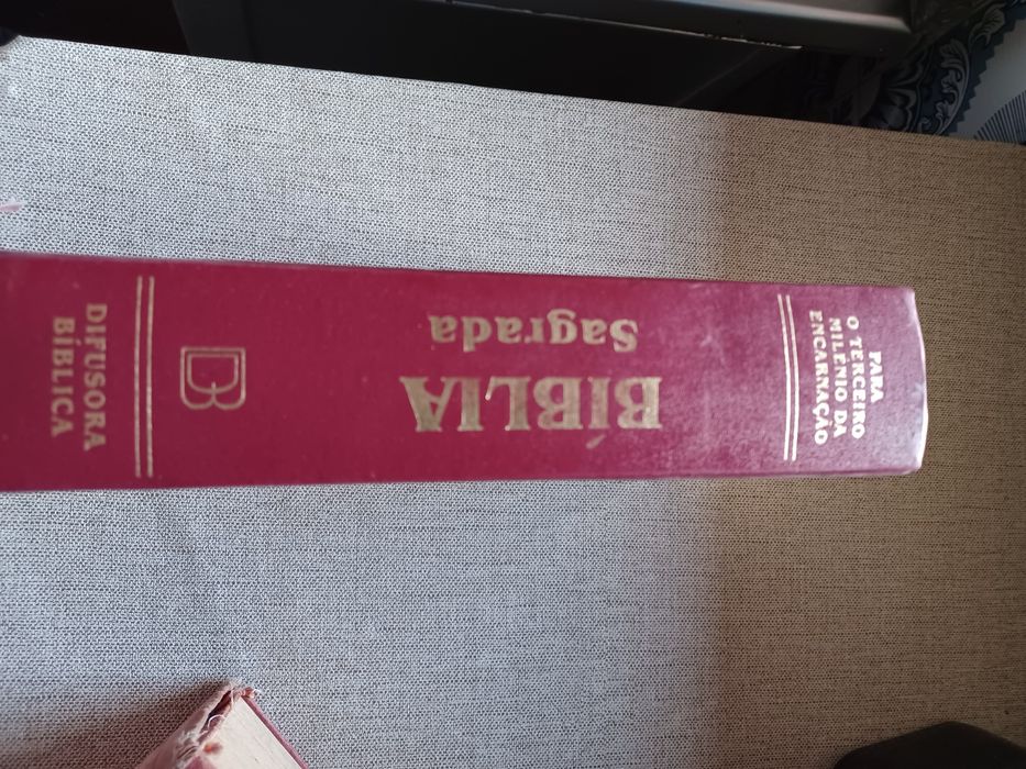 Biblia sagrada livro