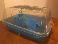 Tartarugueira de plastico