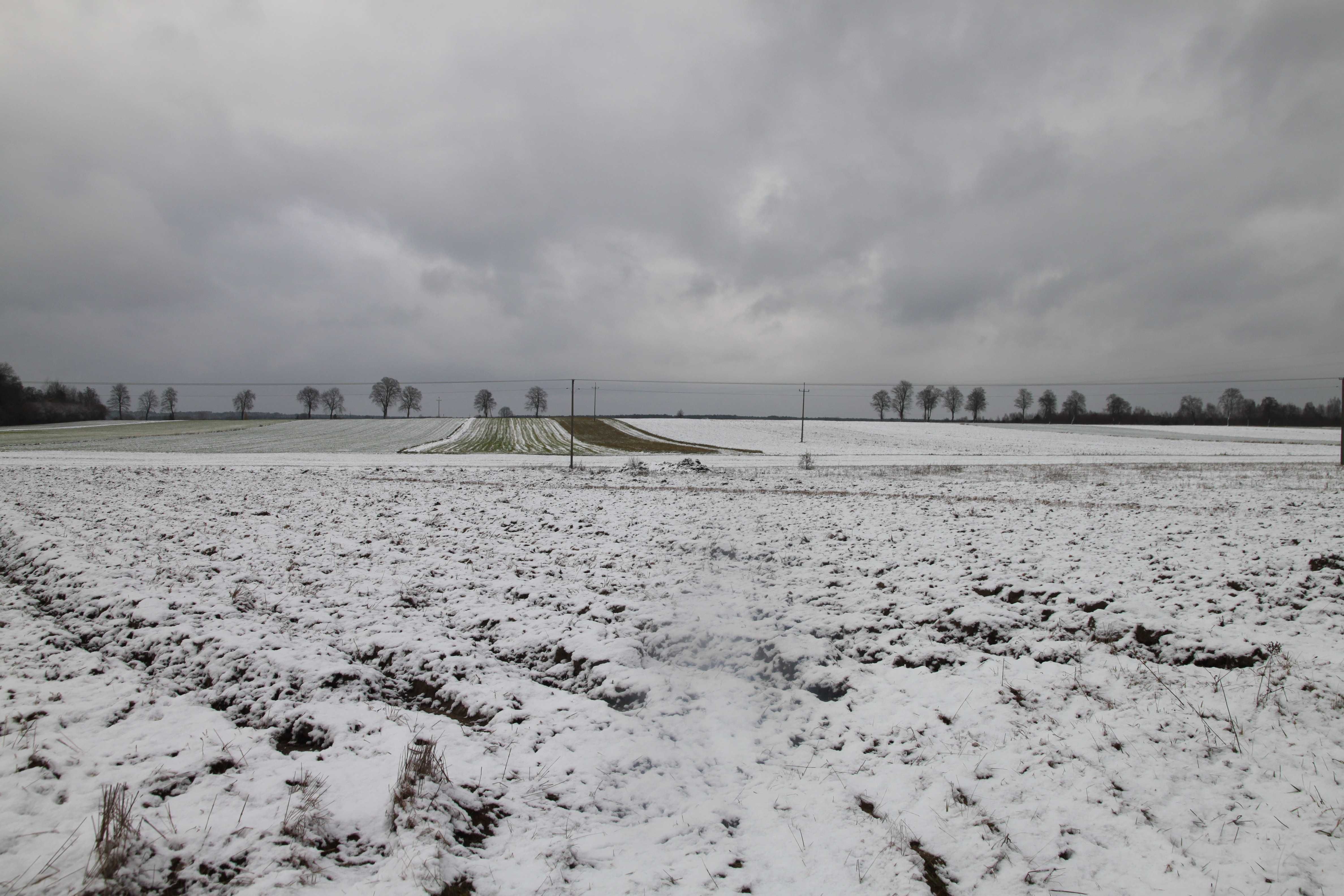 Działka budowlana, Silniczka, powiat radomszczański