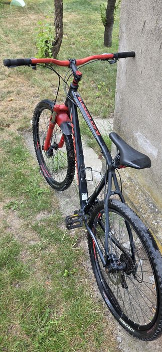 Kross black edition 1