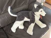 Peluche cão siberiano / Huskye