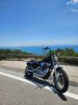 Harley Davidson 883 25kw (livrete)