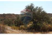 Terreno  para venda