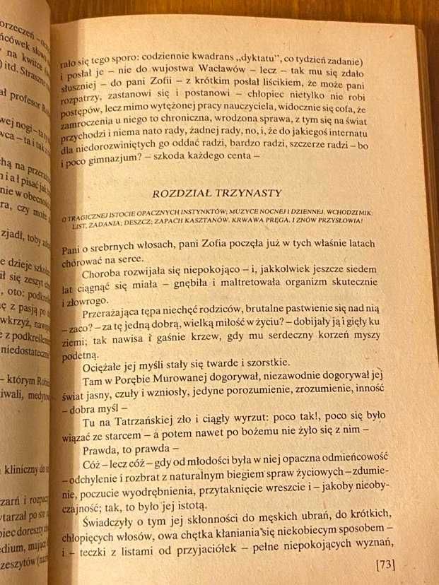 Zmory - Emil Zegadłowicz