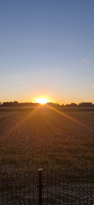 Sprzedam Działkę 1709m2 w Zwierkach