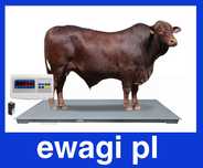Waga do zwierząt bydła inwentarzowa rolnicza 1,2x2,2 1,5t 1500kg 3t