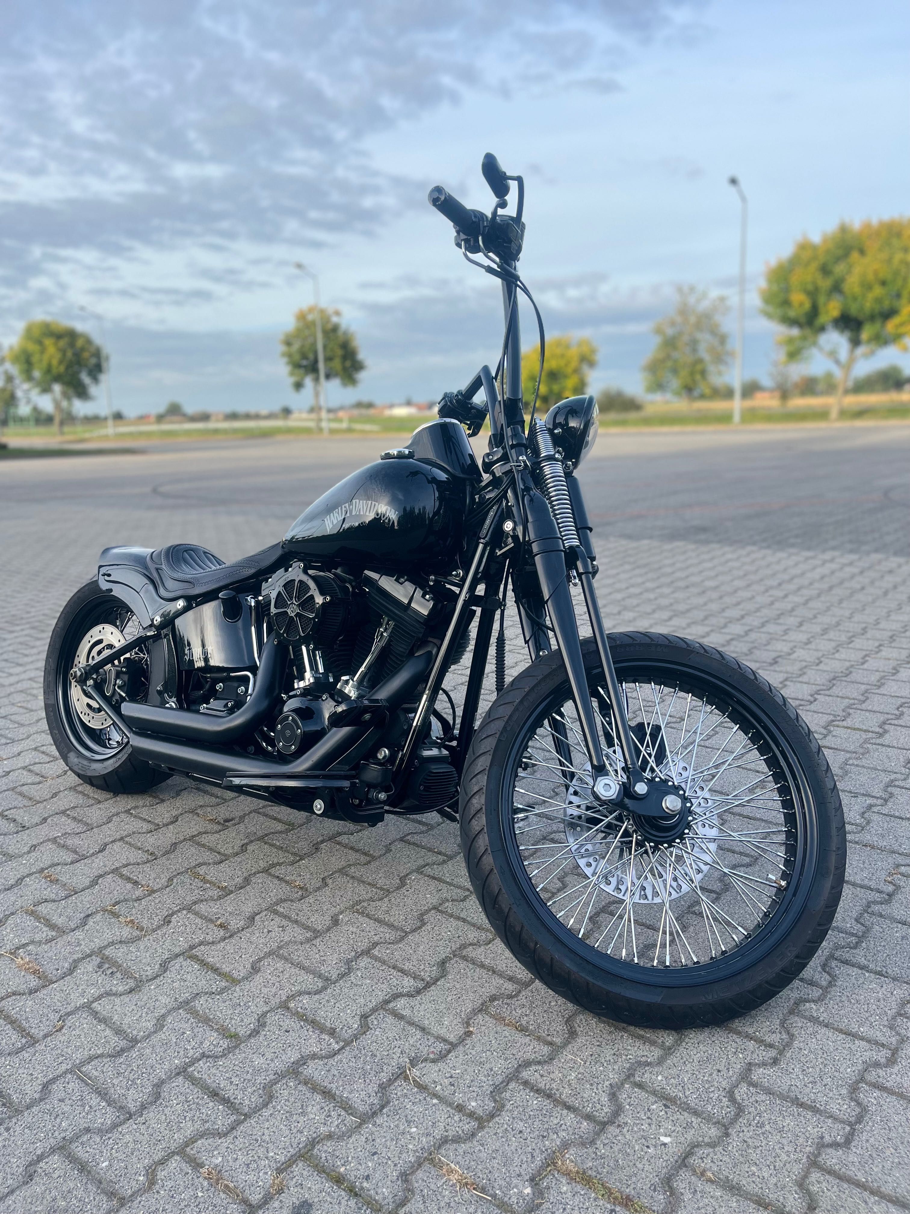 Harley Davidson Cross Bones