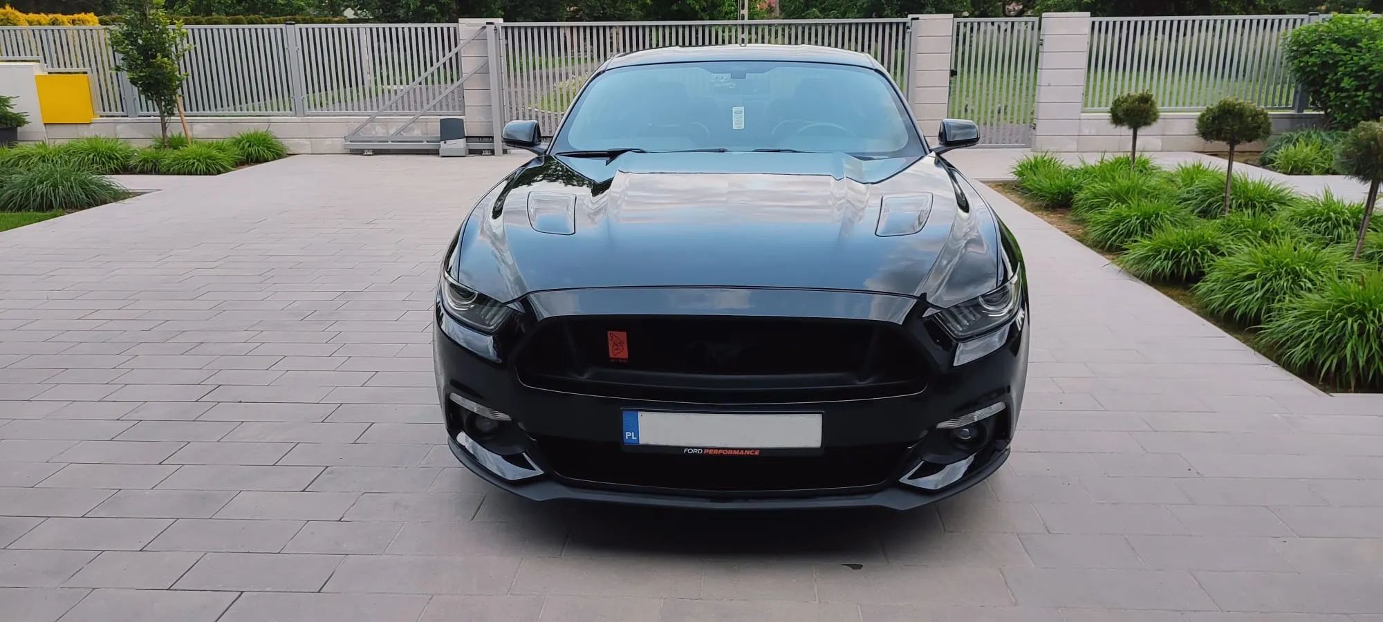 Ford Mustang Ford Mustang 5.0 V8 GT I właściciel w kraju, stan bdb
